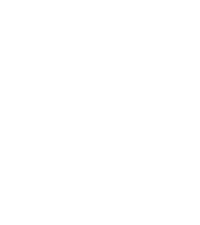 Icon Identidad