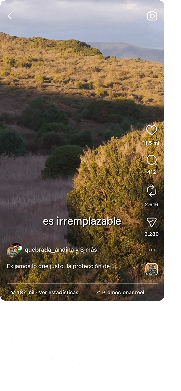 Vegetación nativa irremplazable