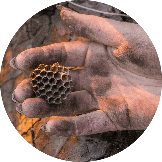 Sofia Leiva Signature